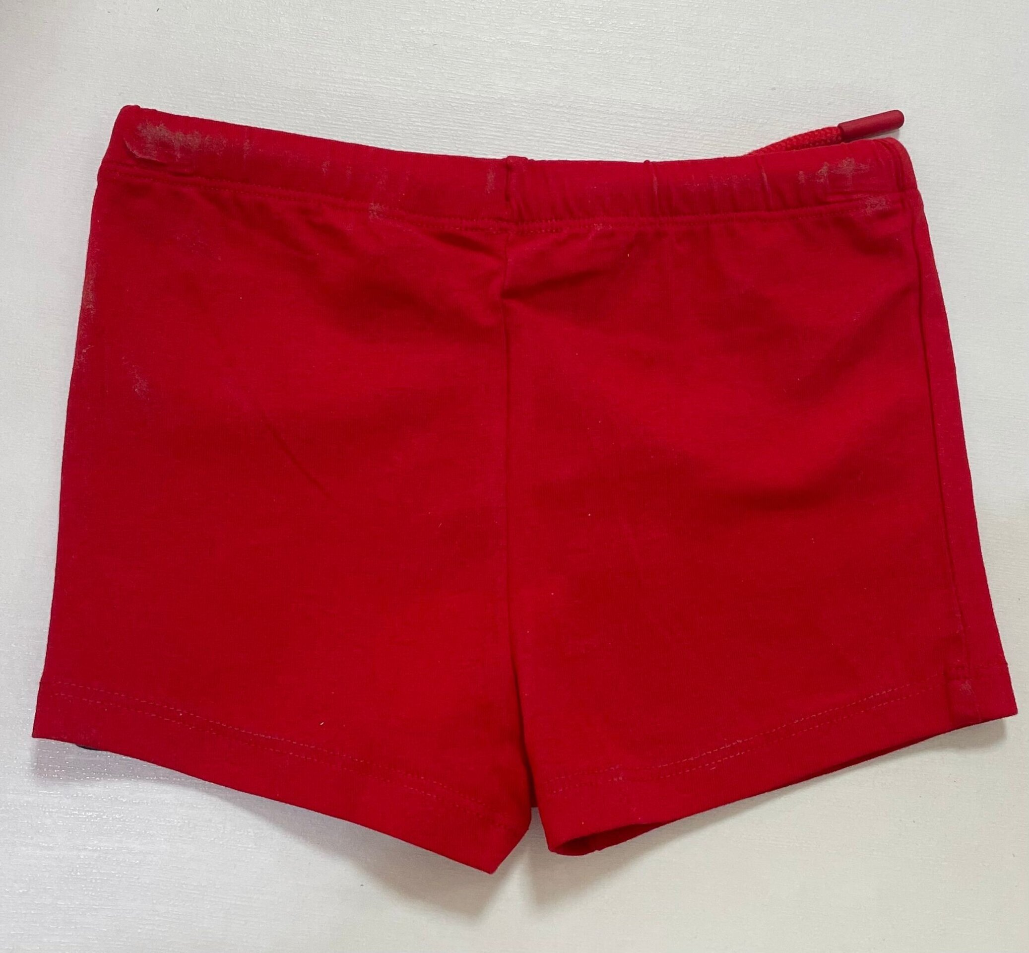 Boxer Mikie Mouse - 2
