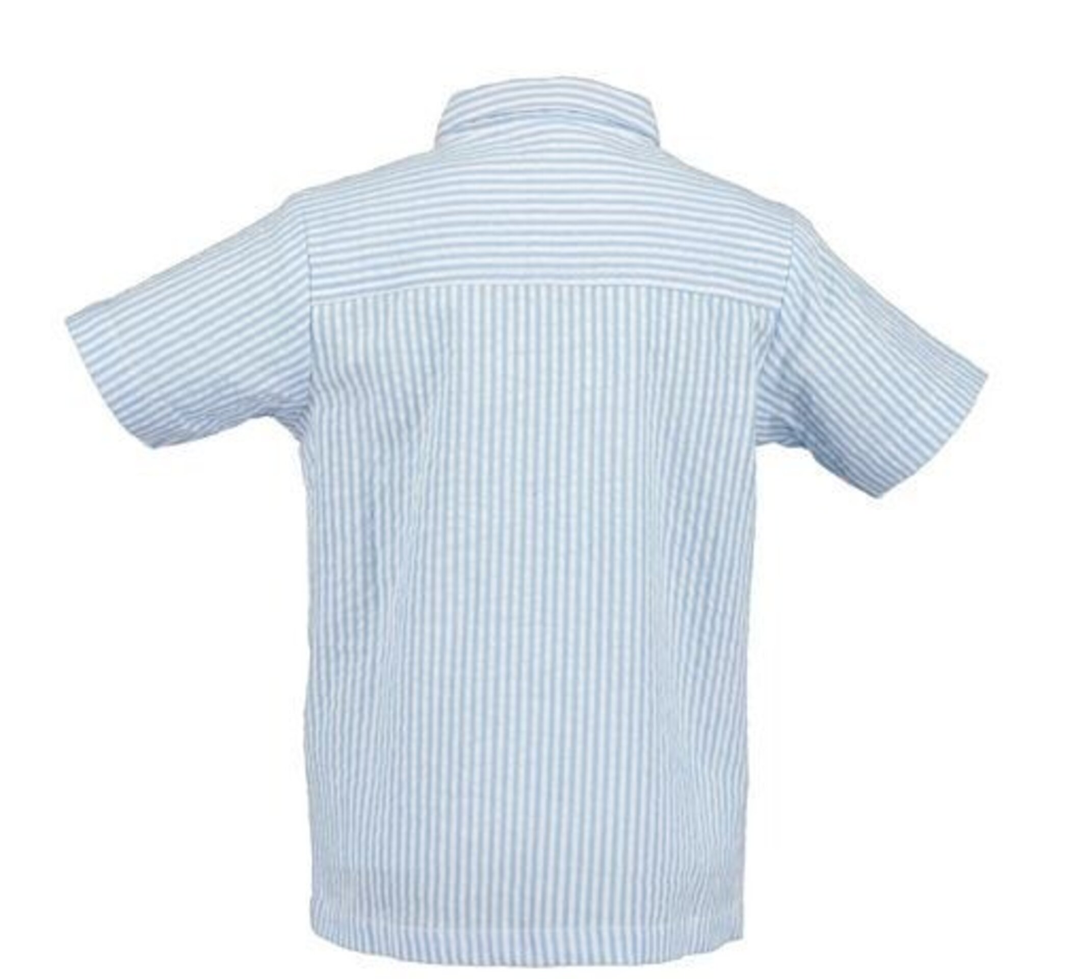 Camisa Blue7 NIño - 2