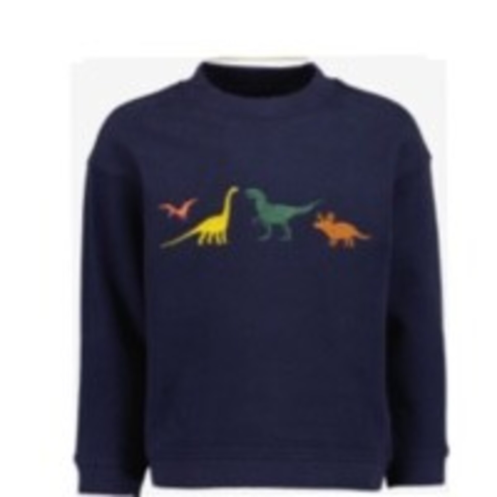 Sudadera Dinos Niño - 1