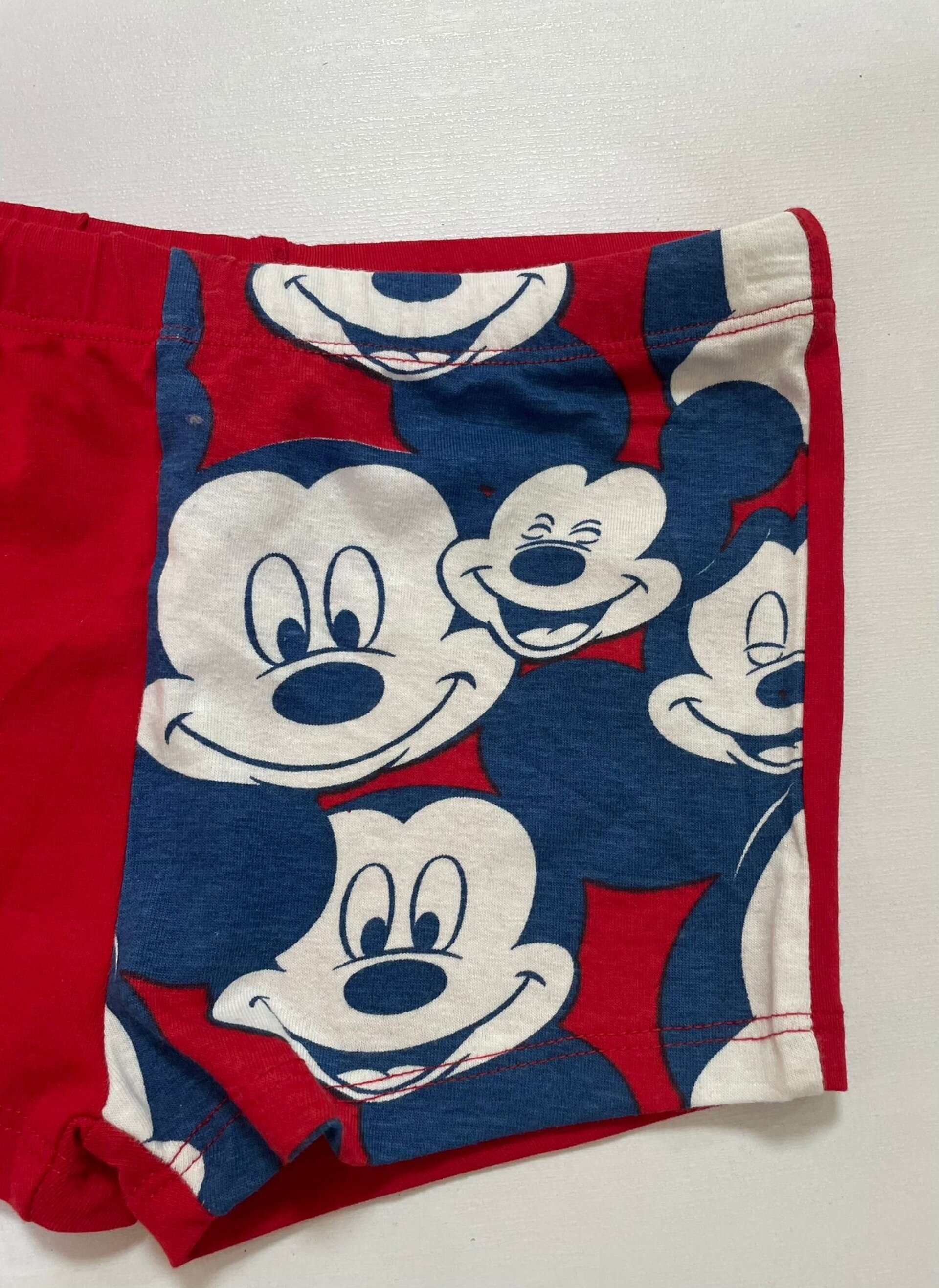 Boxer Mikie Mouse - 3