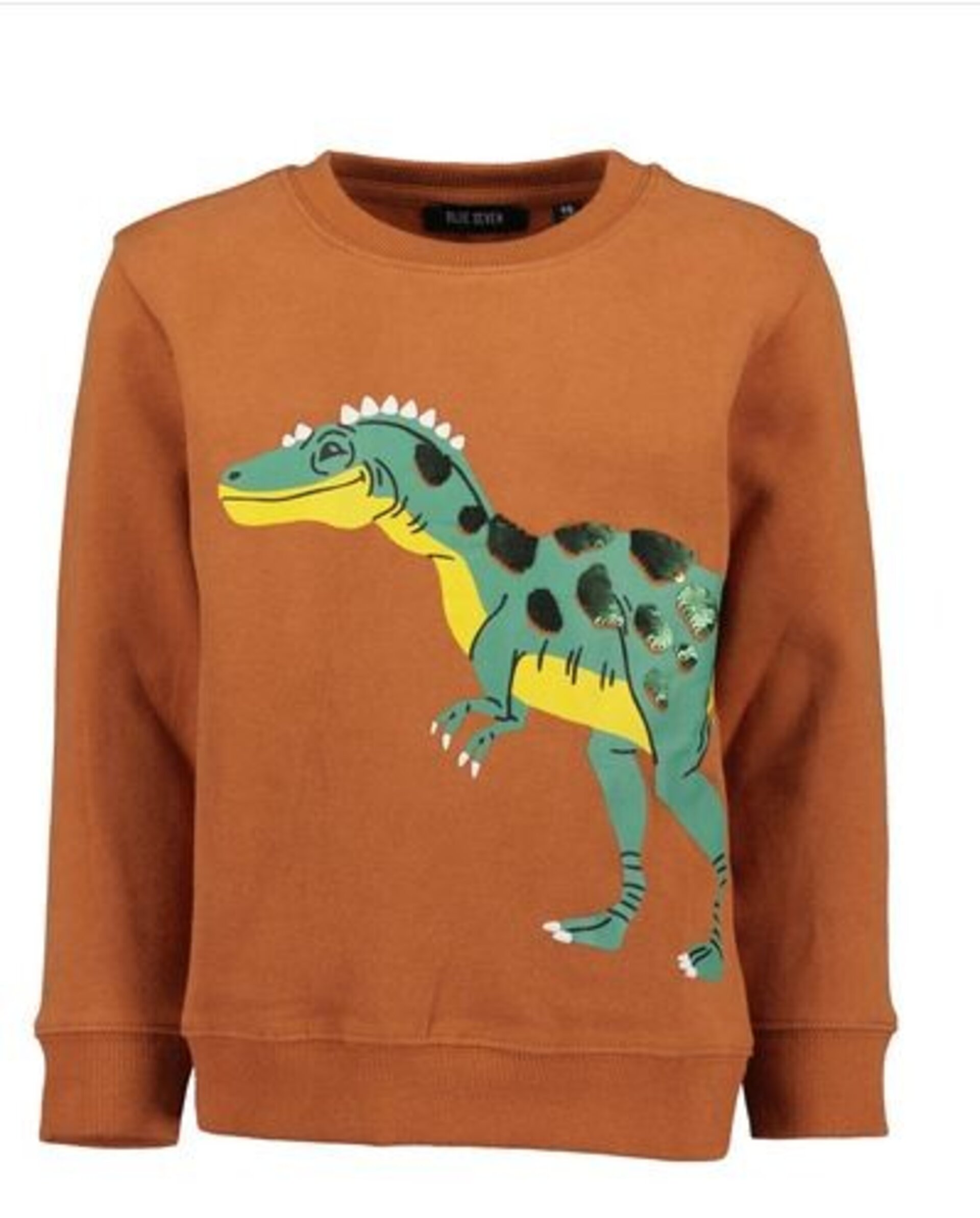 Sudadera Dinos Niño - 3