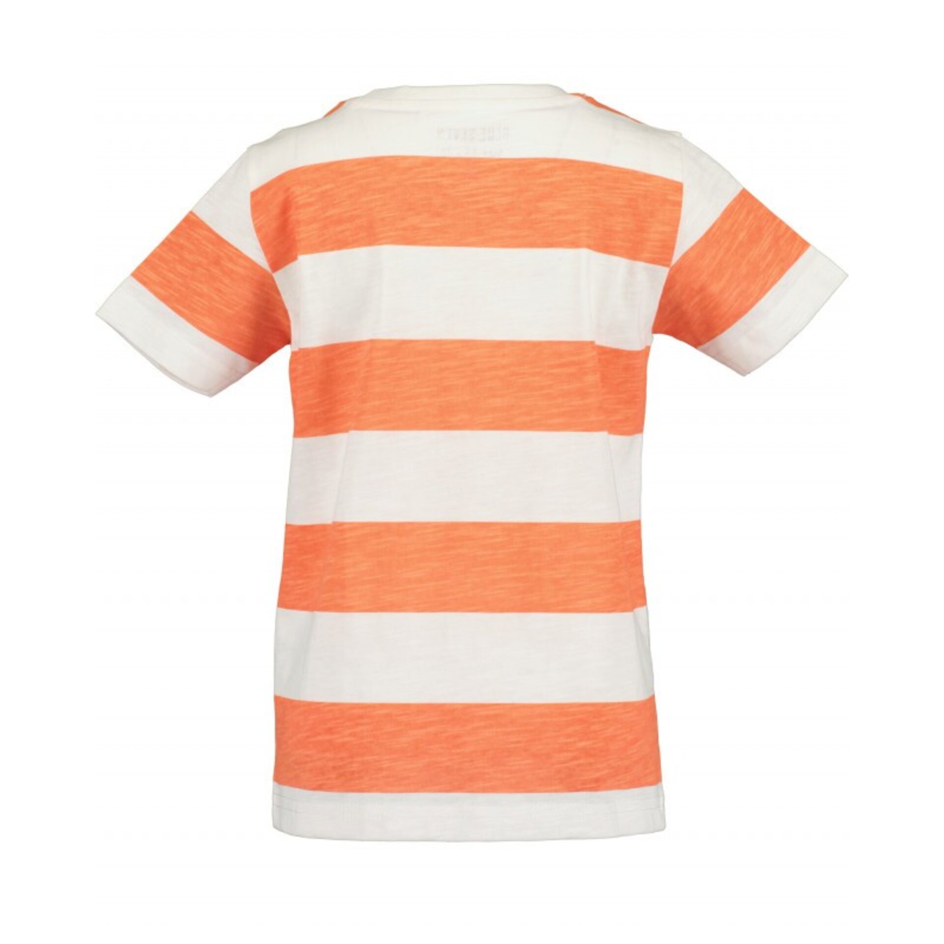 Camiseta Blue7 Niño - 2