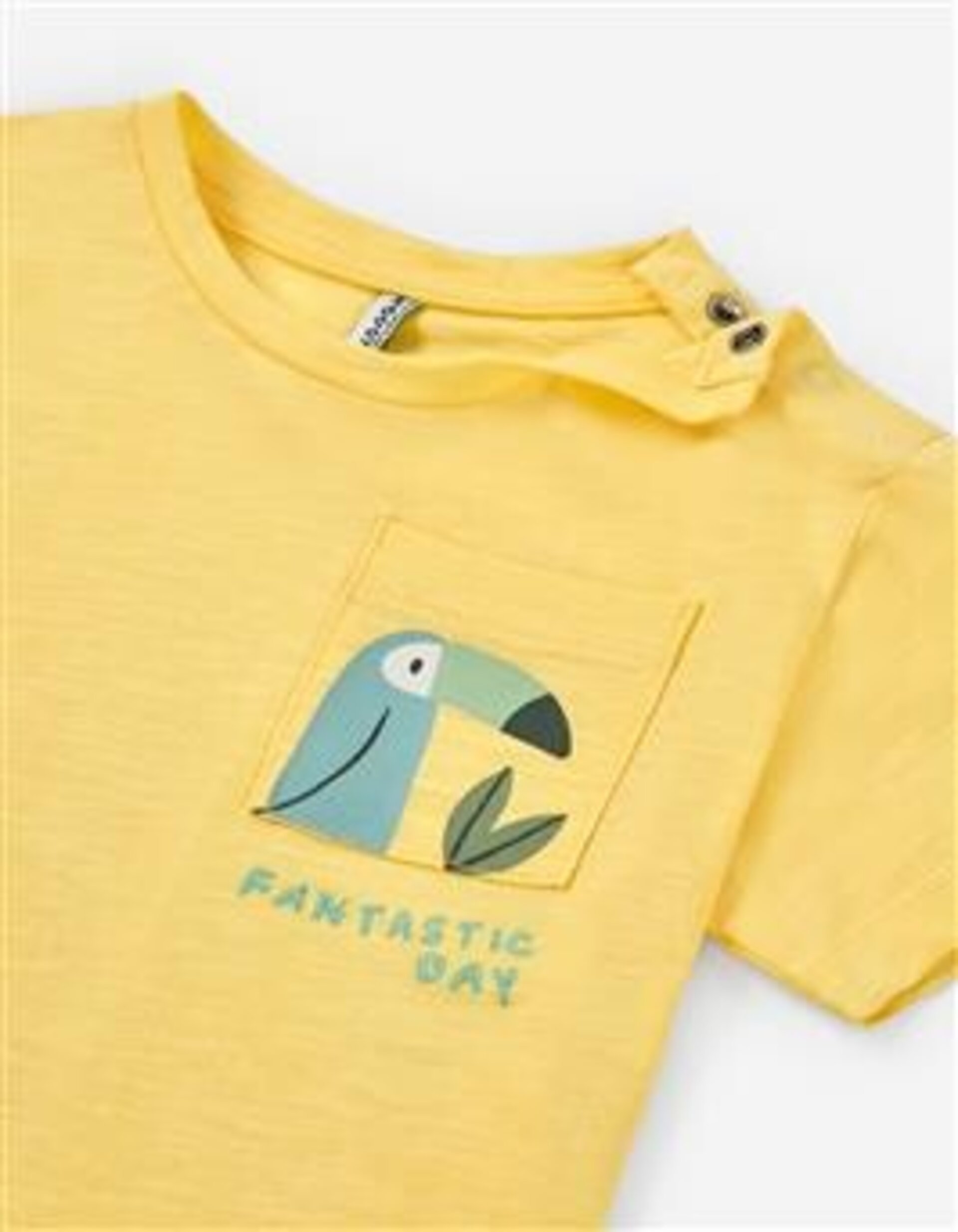 Camiseta Subtropical3 Bebe - 2